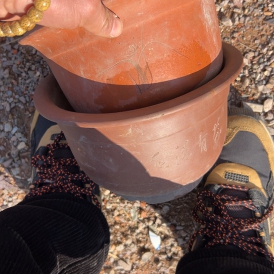 小***子核桃木/黑胡桃（胡桃木）