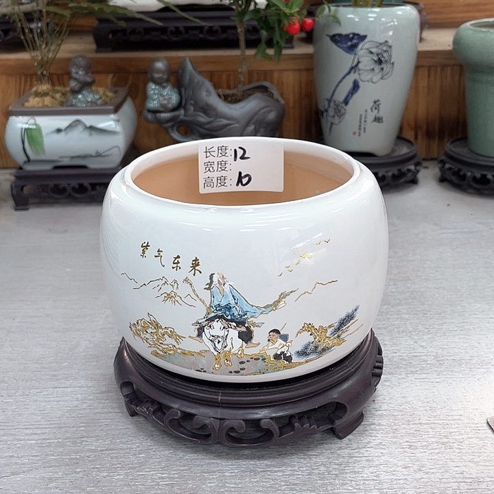 陶瓷花盆紫砂花盆抢购福利