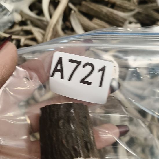 <***>鹿角鹿角鹿角鹿角鹿角