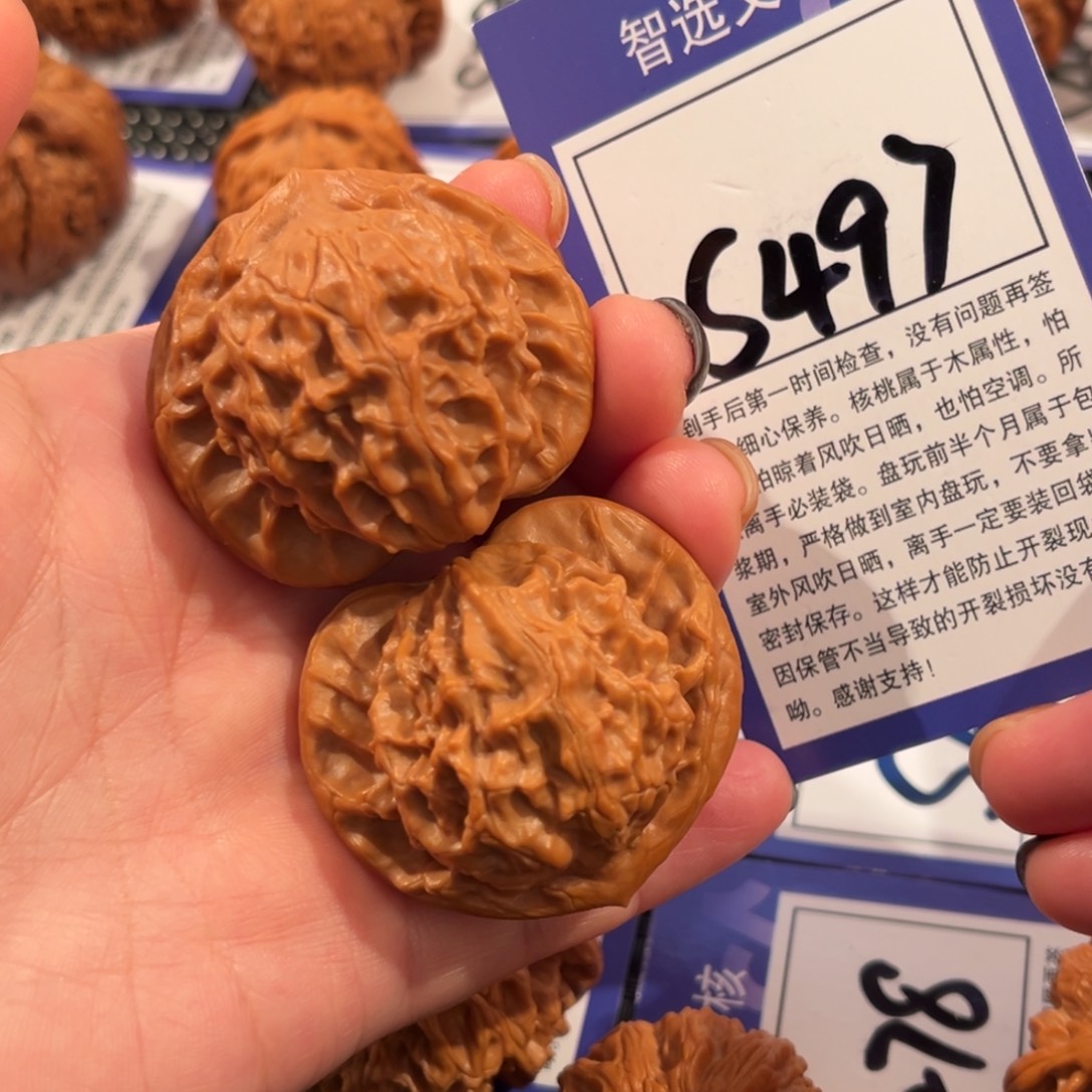 核桃S497号图图43尺