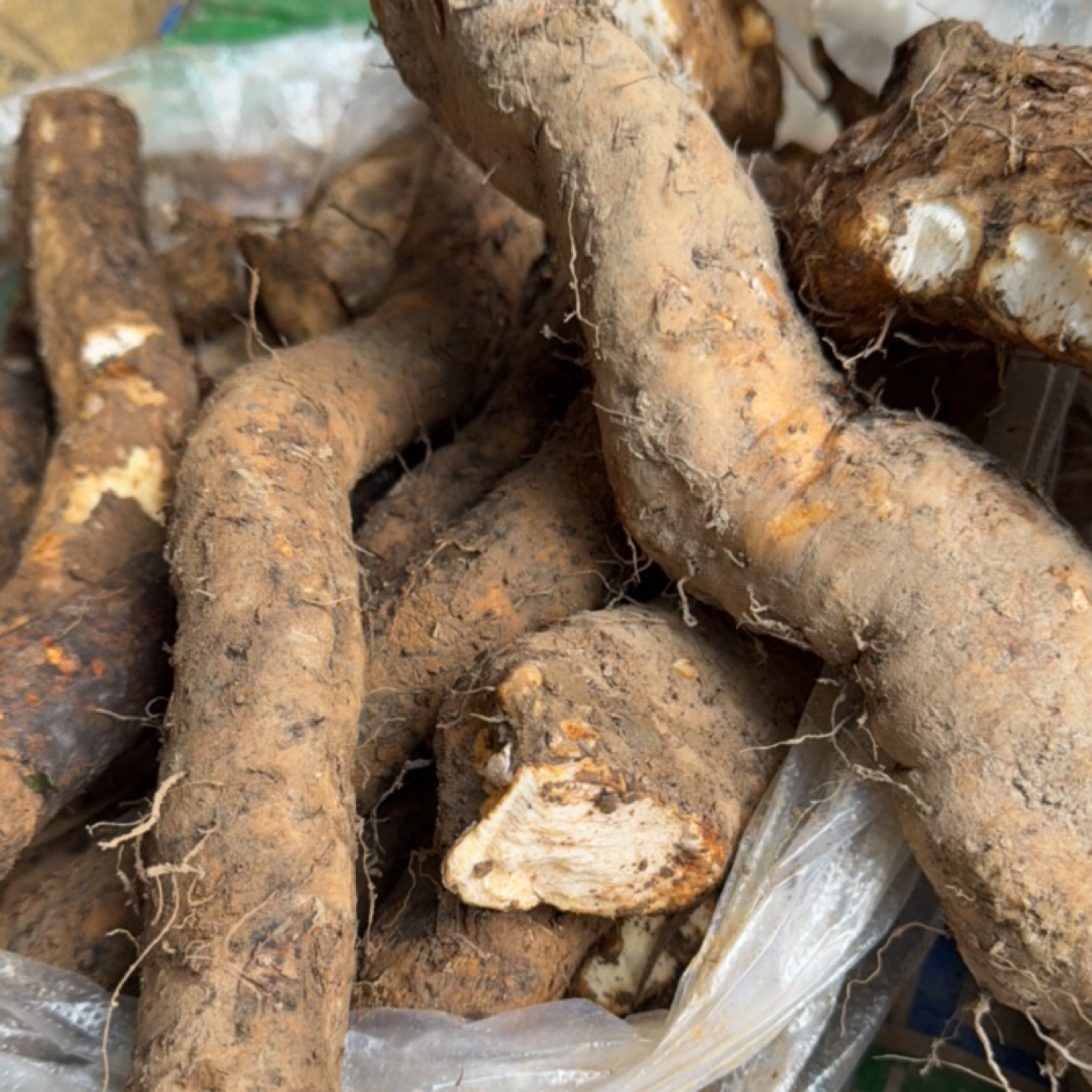 （顺丰包邮）农村赶集贵州高山野山药