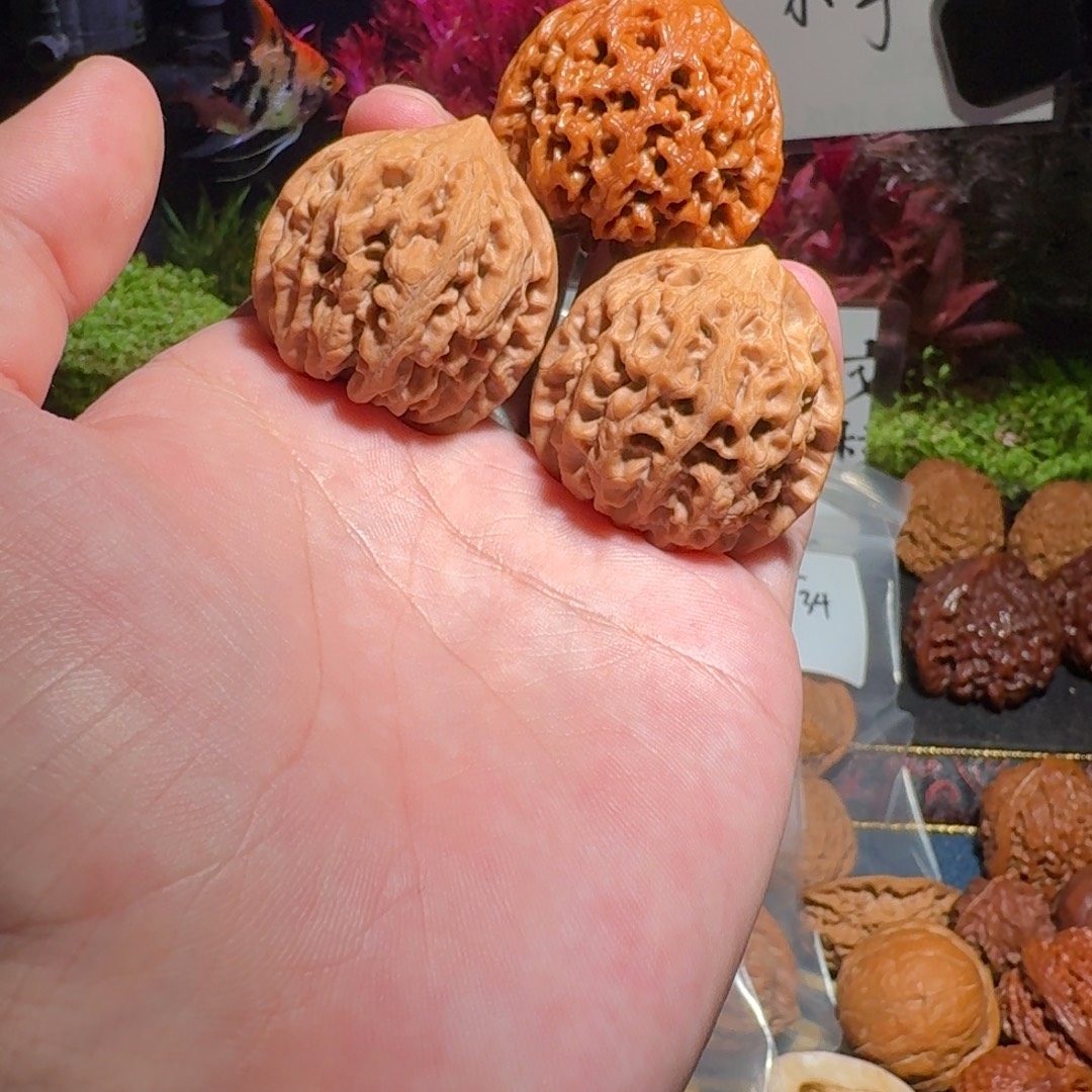 核桃把件090号36太行龙纹文玩核桃