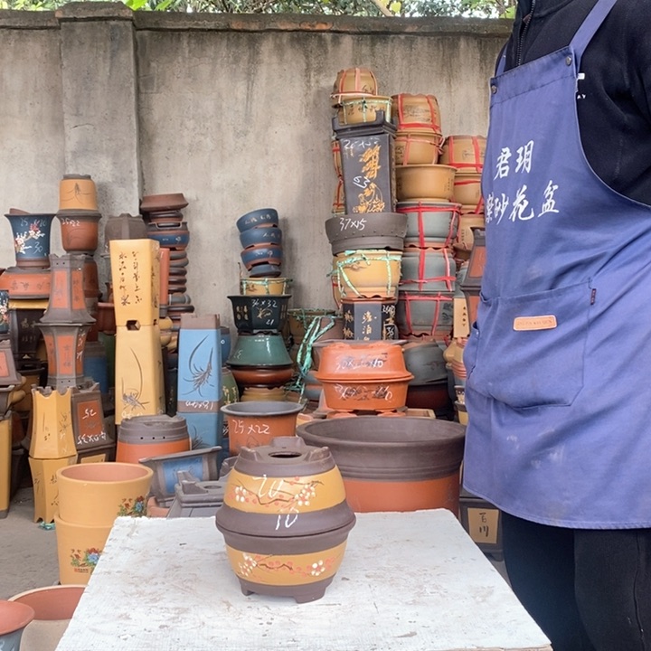 紫砂花盆紫砂花盆盆栽花卉图案