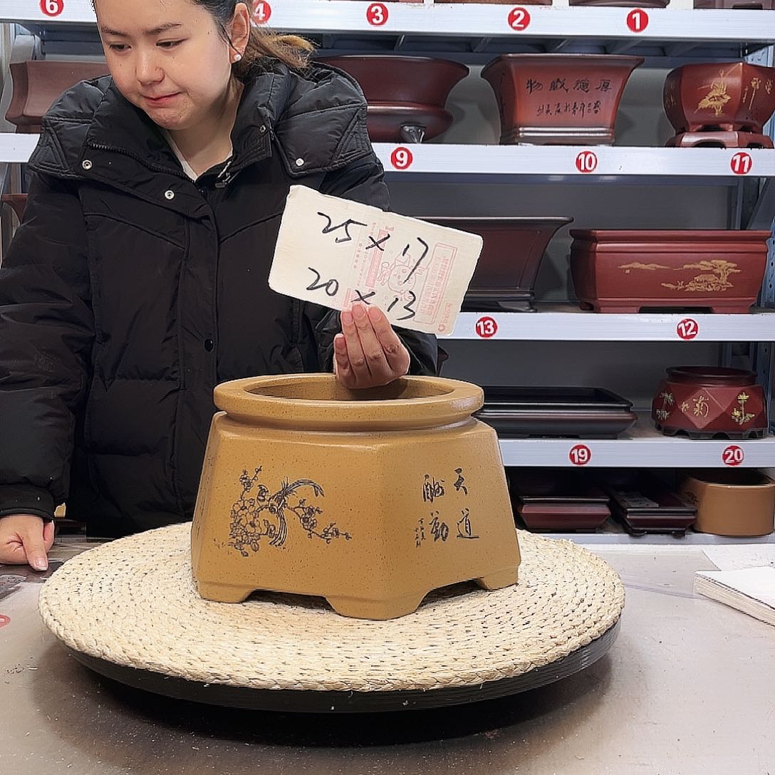 花盆紫砂紫砂花盆里