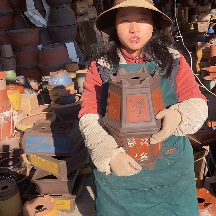 紫砂花盆盆栽花卉苗木种植