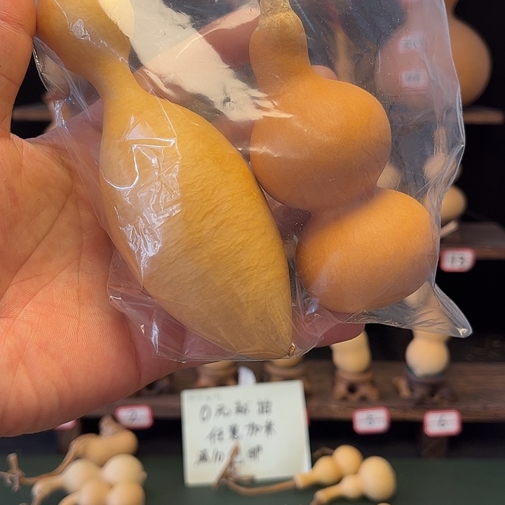 S***o啦啦啦啦啦啦啦啦啦啦