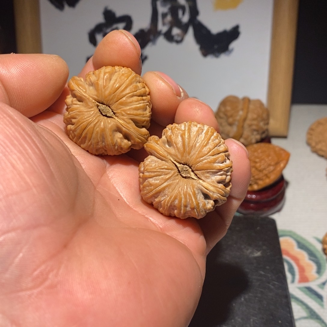 文玩核桃把件35尺卡姿兰闷白
