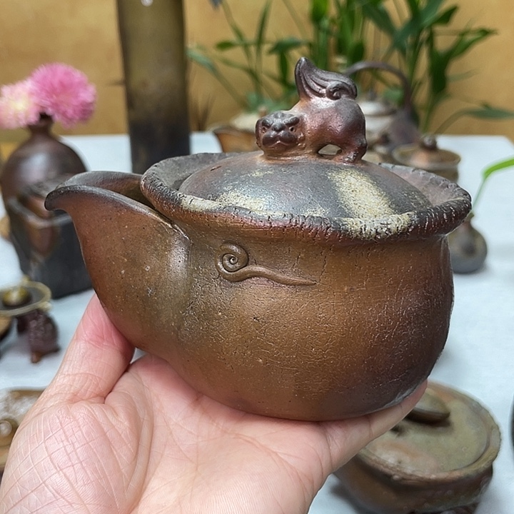 柴岗宏和的宝瓶好