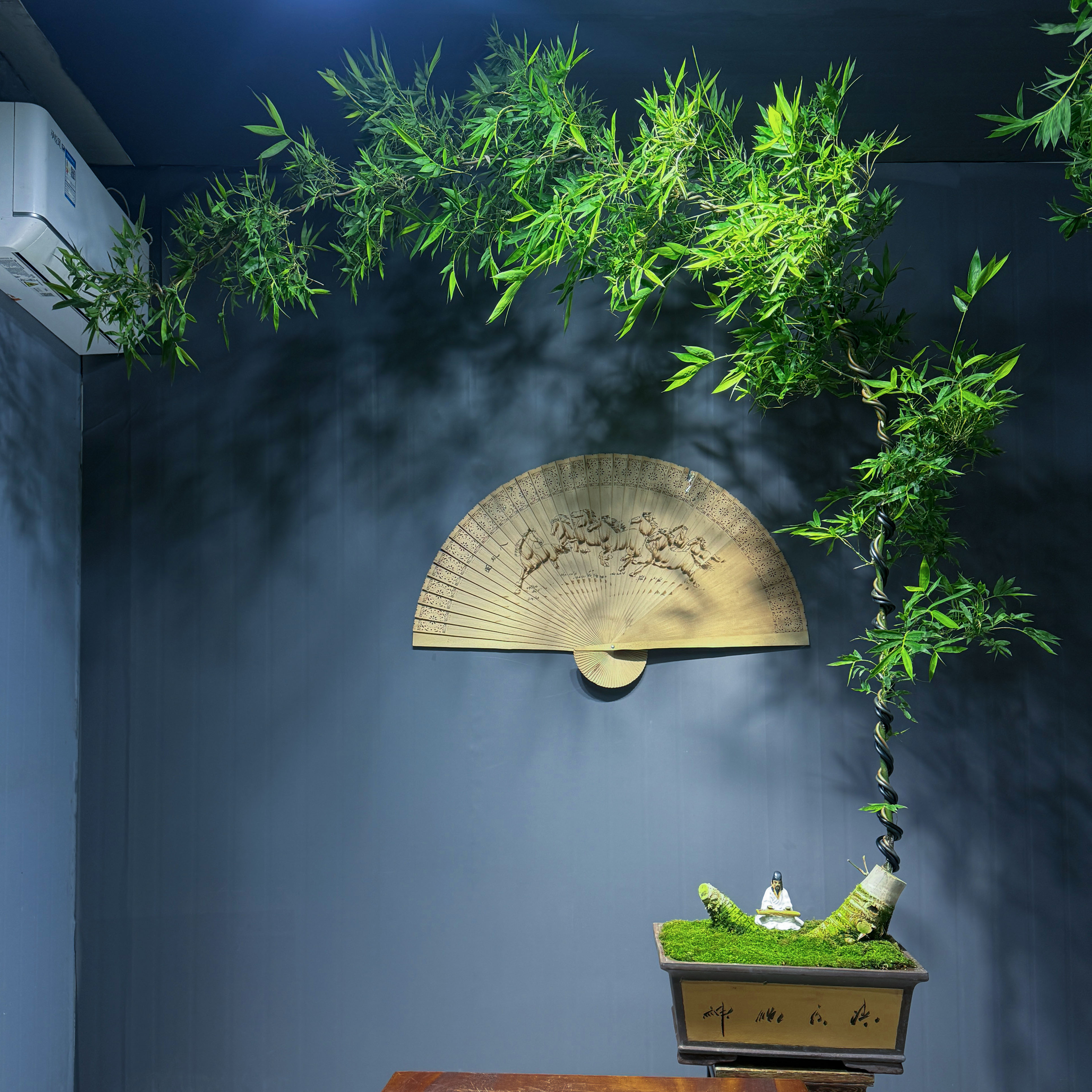 复古禅意紫砂簕竹高端盆景#老桩大飘枝簕竹，提升室内空间高级感。