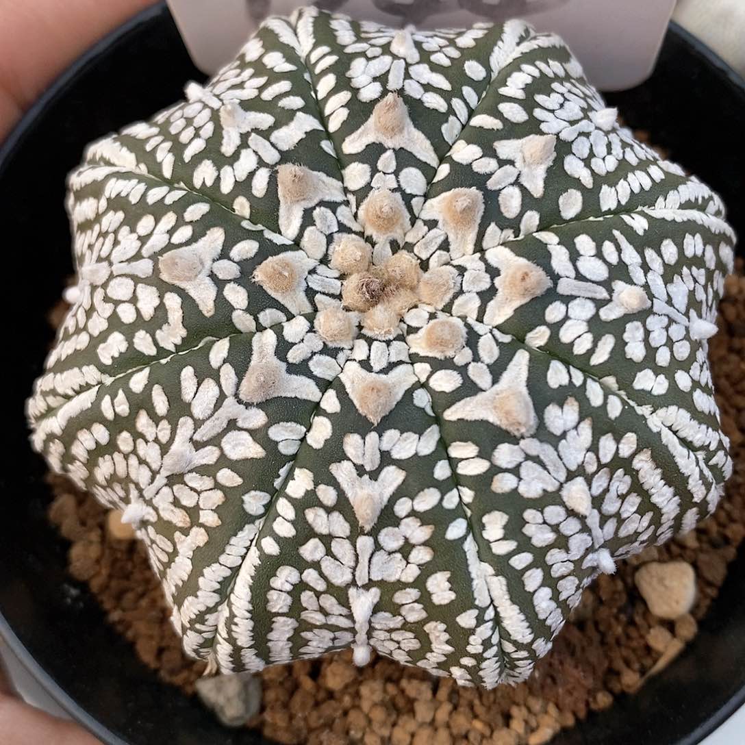 福利大赏在这里分享你与