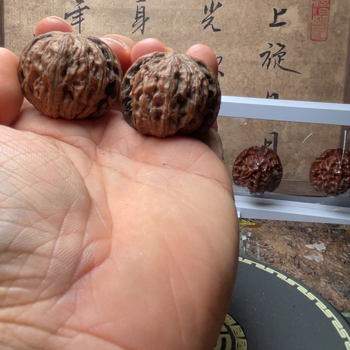 今日拍品推荐188号