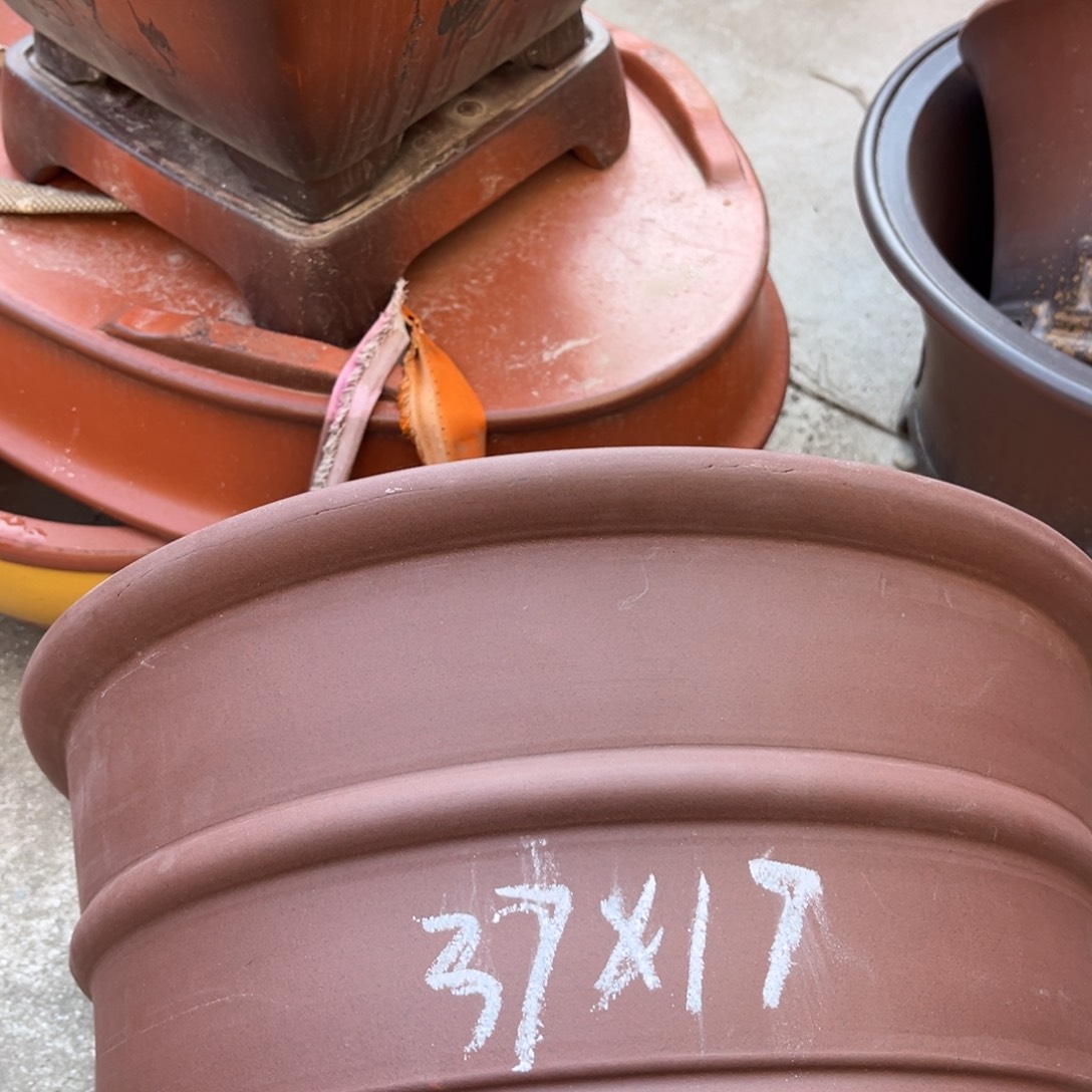 花盆紫砂盆景艺术