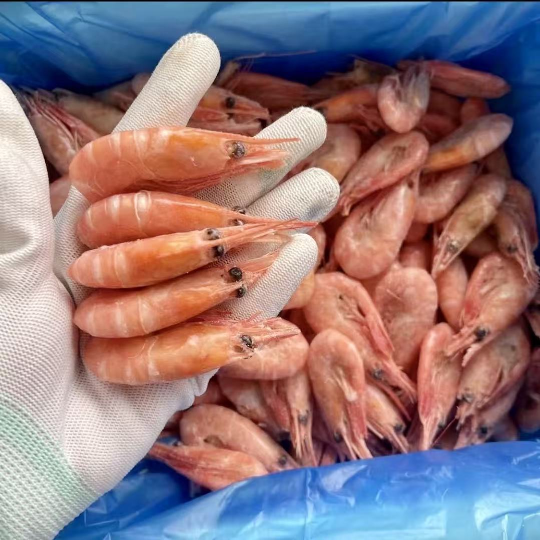 【北极甜虾】深海野生虾 90-120+中规格 2025年头籽新货 1-10斤装