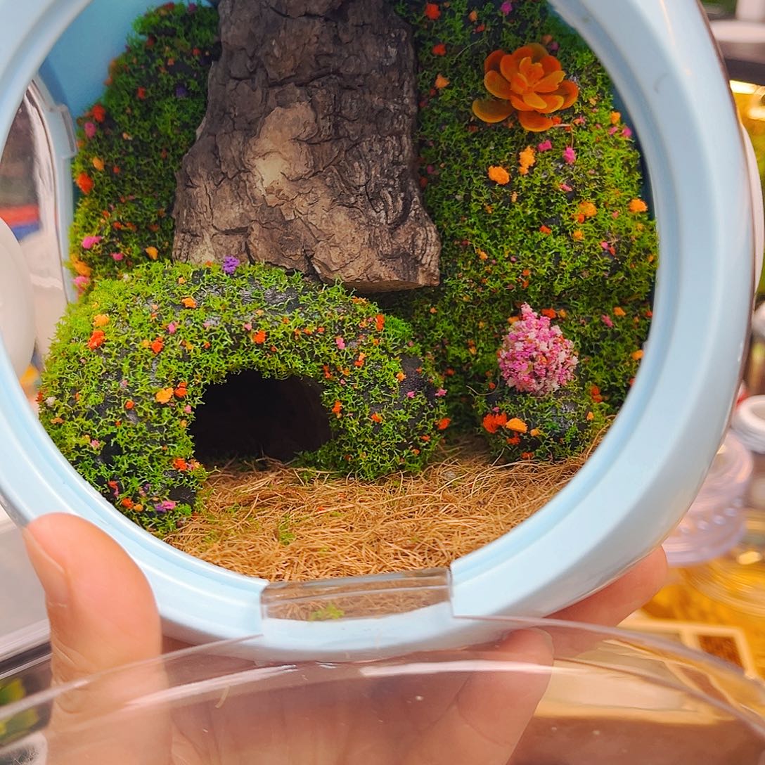 泡泡玛特送素贝竹铃