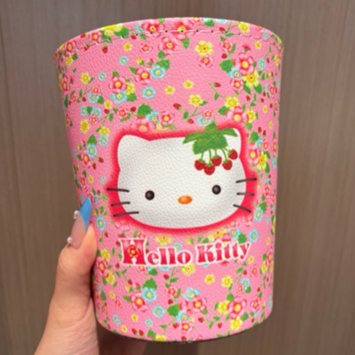 kitty野草莓桌面收纳桶可壁挂收纳