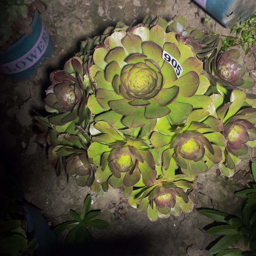 法师法师13–41包邮法师