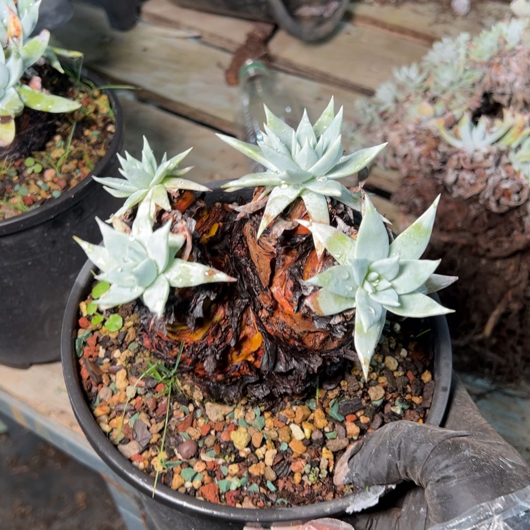 9100哈哈哈哈哈哈哈哈 