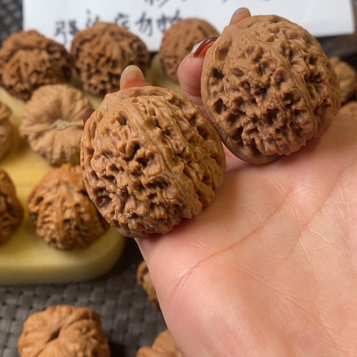 D****s41全品南疆石无修无修无修