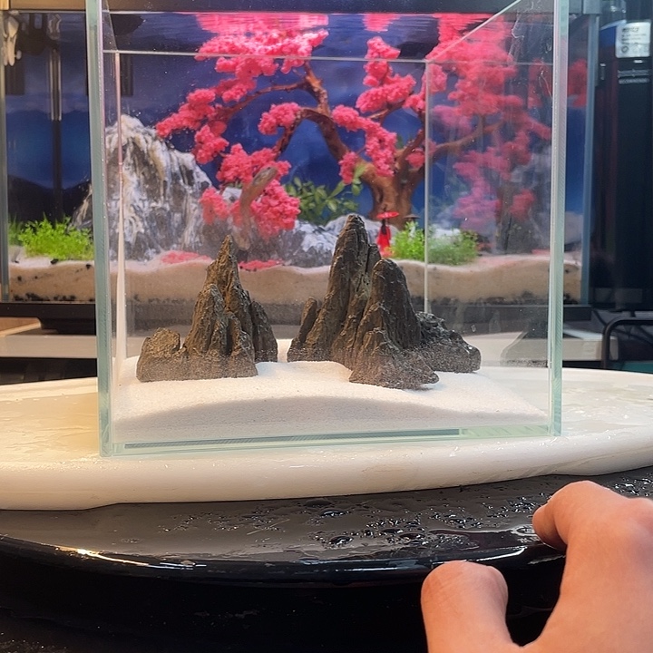 盆景鱼缸造景都可以使用