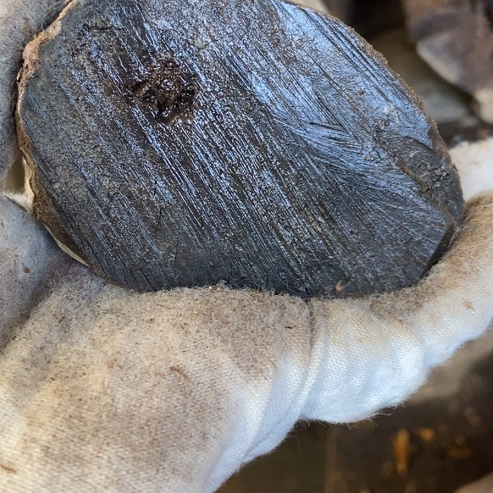 古***虎贡木把件定制不退不换