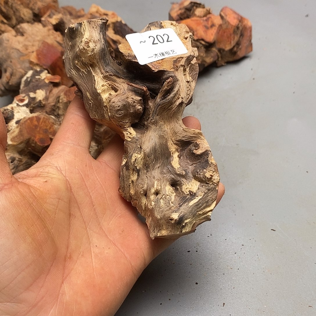 @***）无花朵        202