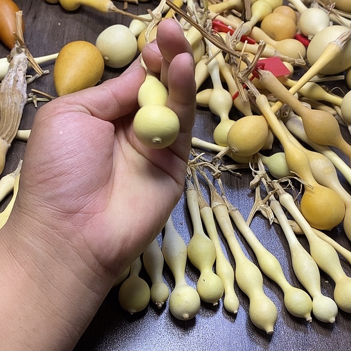 H***.手把精品文玩葫芦