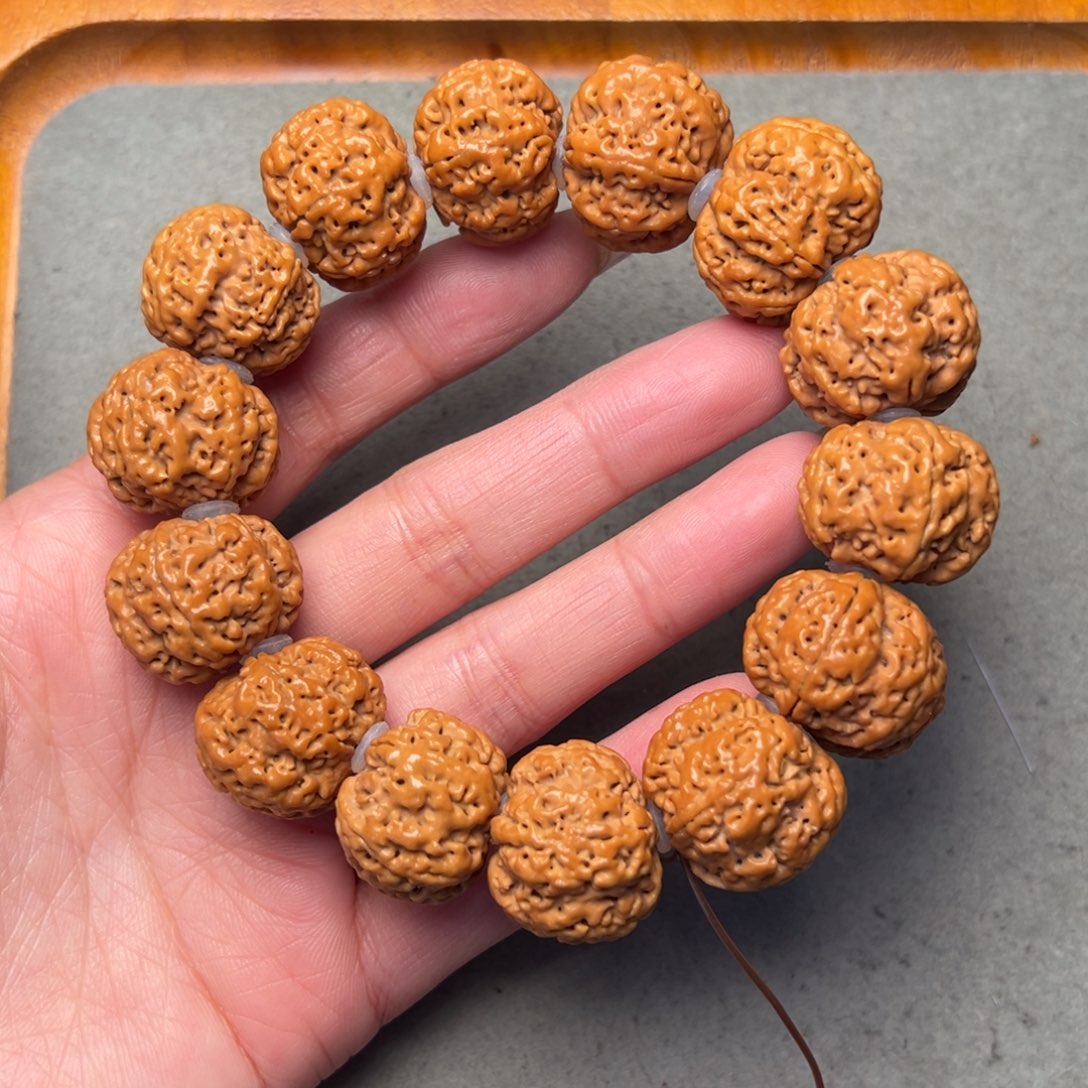 菩提17号金刚菩提雪花扇面六瓣22