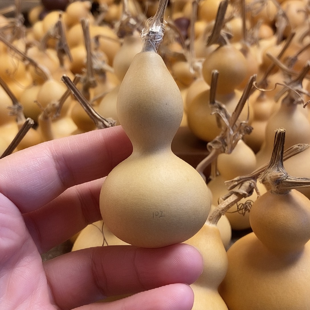 文玩葫芦 完美主义者 慎拍102