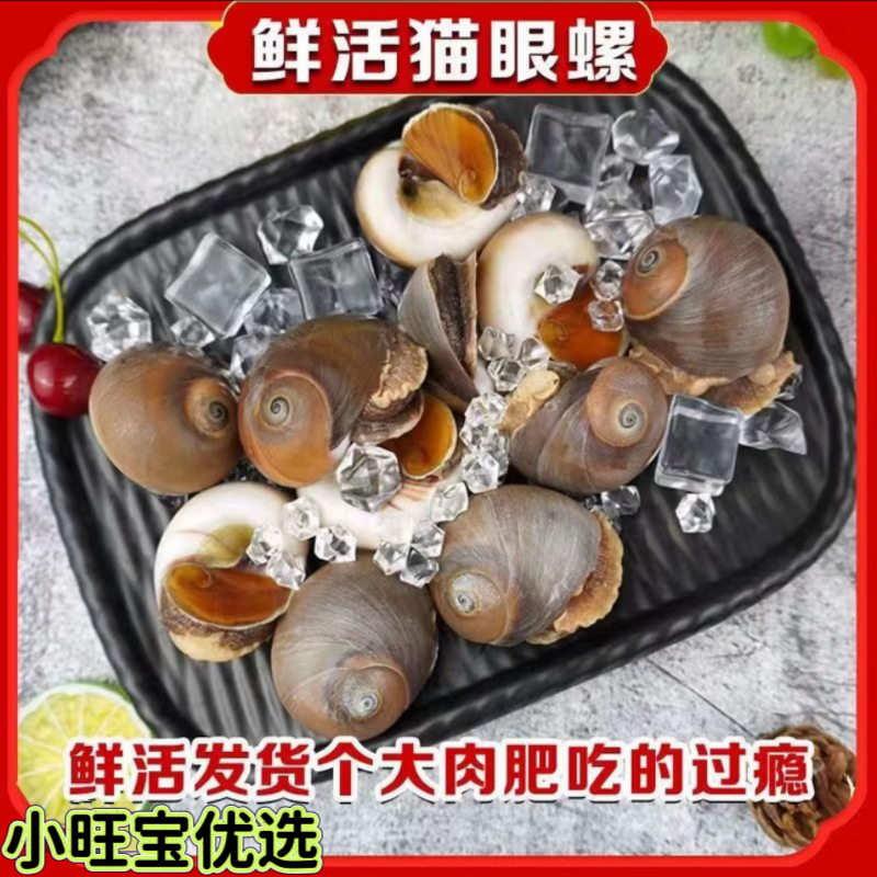 猫眼螺顺丰发货鲜活发货