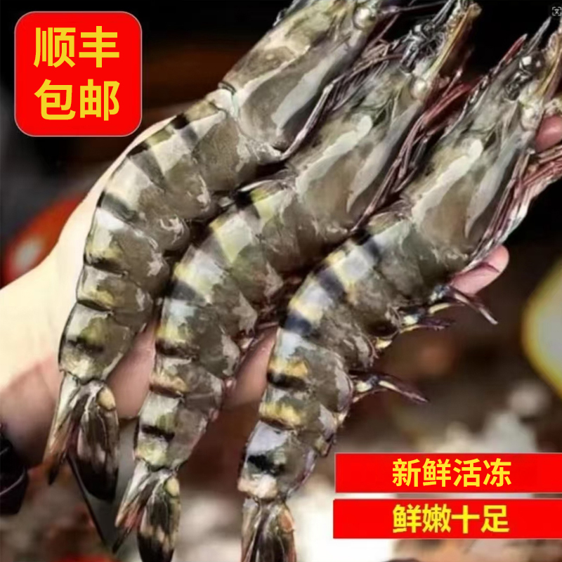 【超大黑虎虾】 新鲜冷冻大虾 肉质鲜嫩 老虎虾 年货冬日火锅食材 商品图