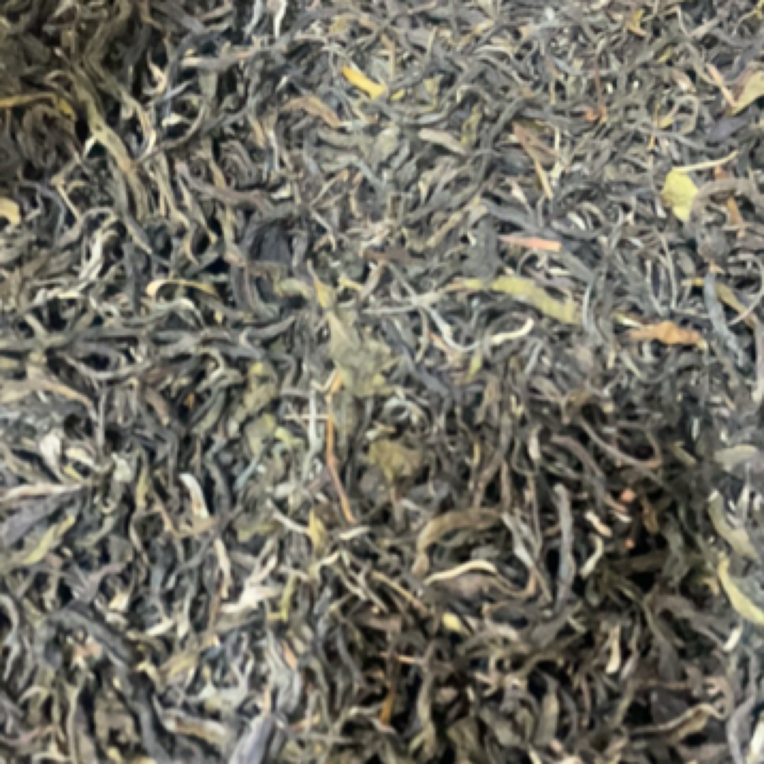 云南松山王凯舟古树普洱生茶散茶