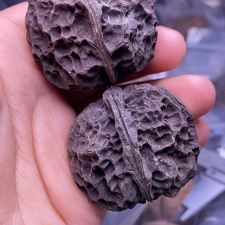 山***丘文玩核桃把件   117