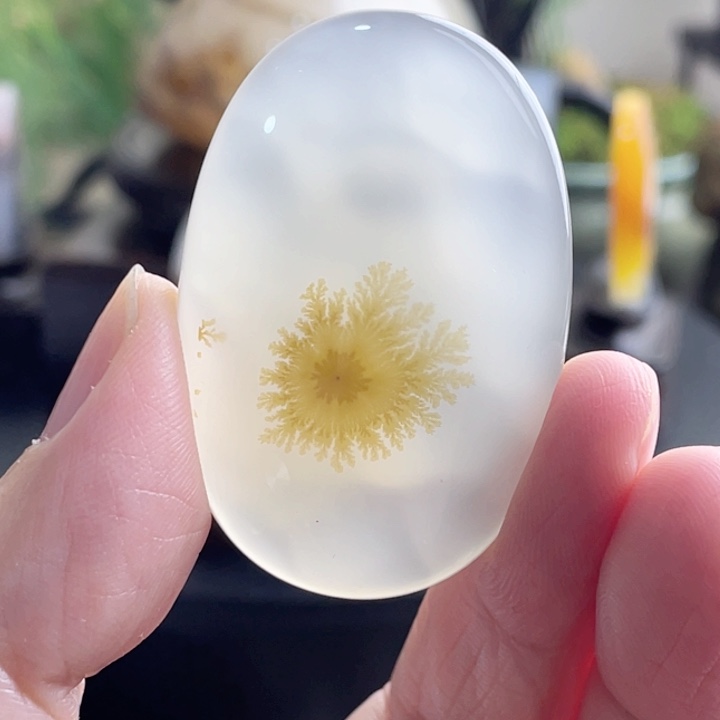 玛瑙/玉髓珠宝半成品未镶嵌