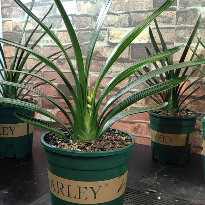 完全开放111111111