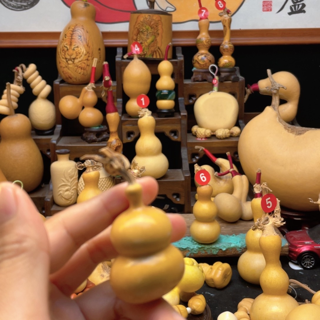 *️****大自然的秘密第十一章第一