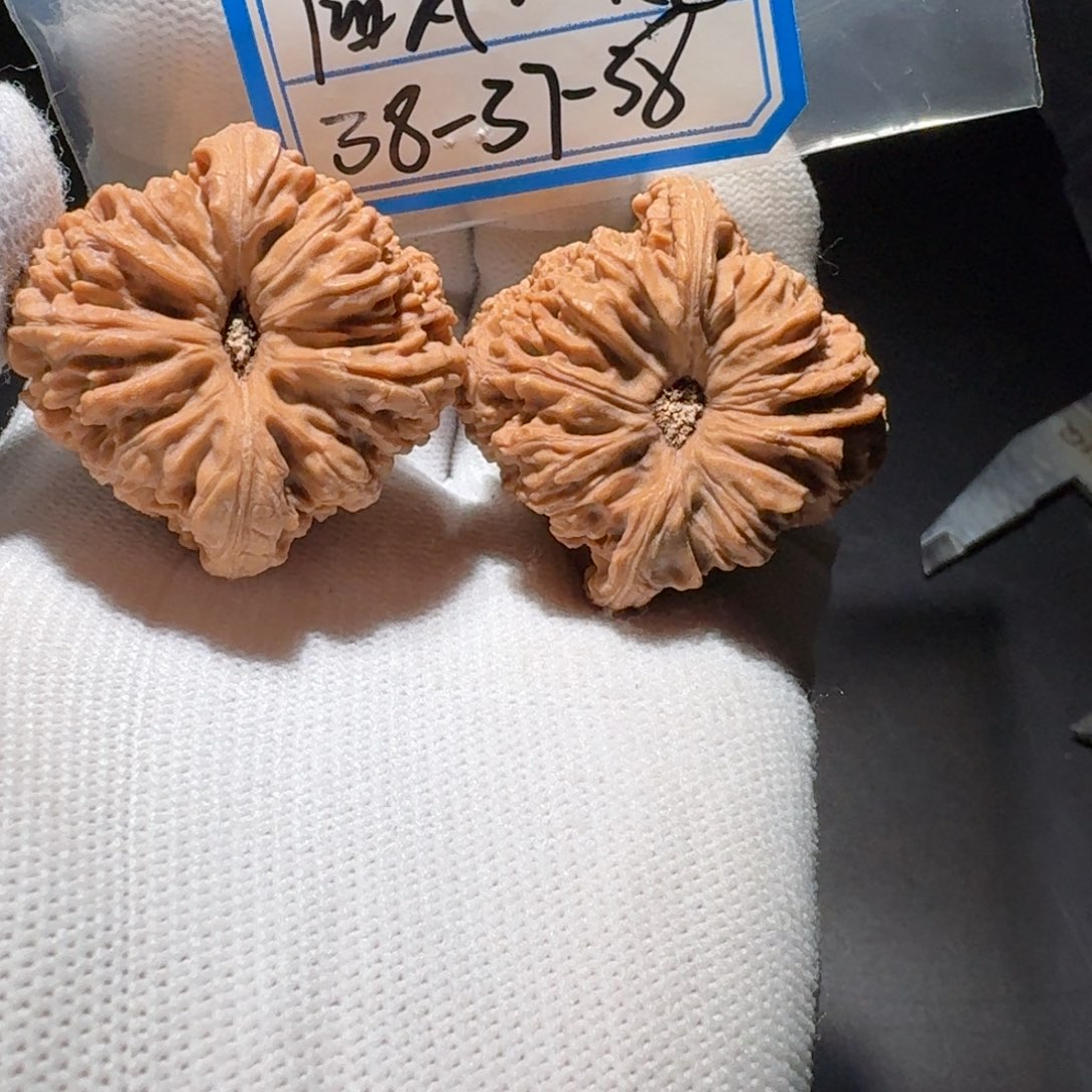 文玩核桃把件3号凹底