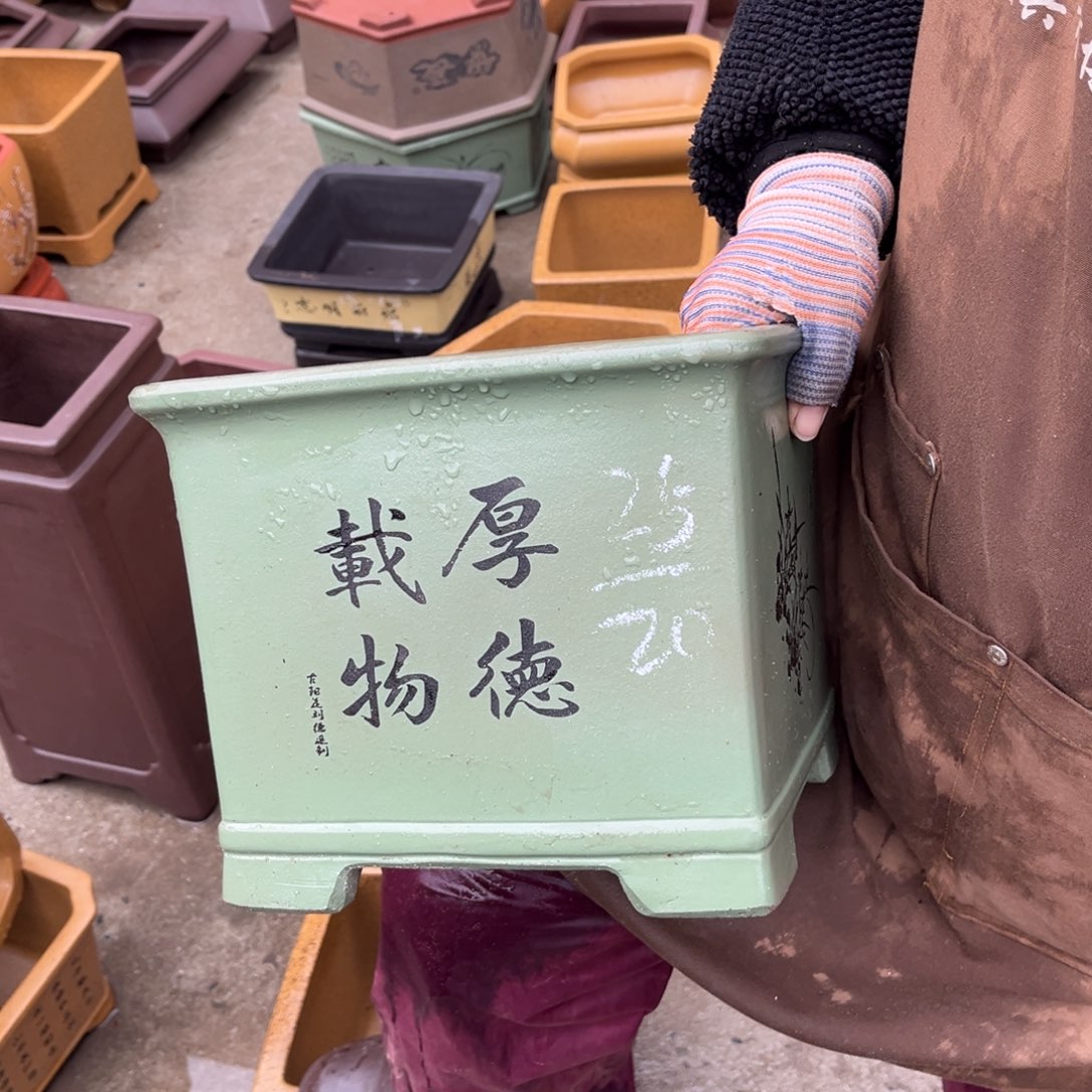 紫砂花盆盆景艺术