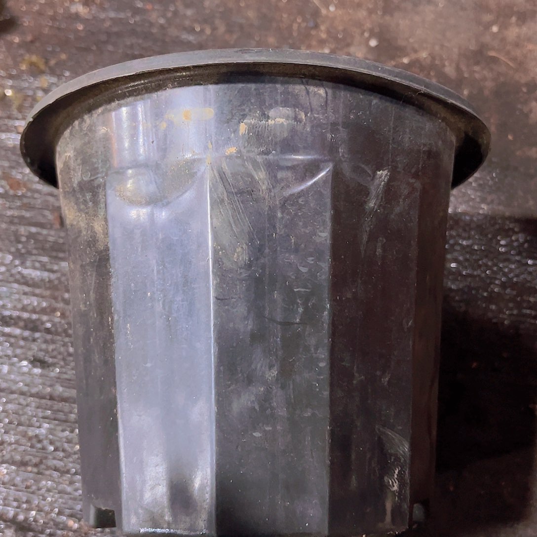 塑料黑砖盆18口径 20个