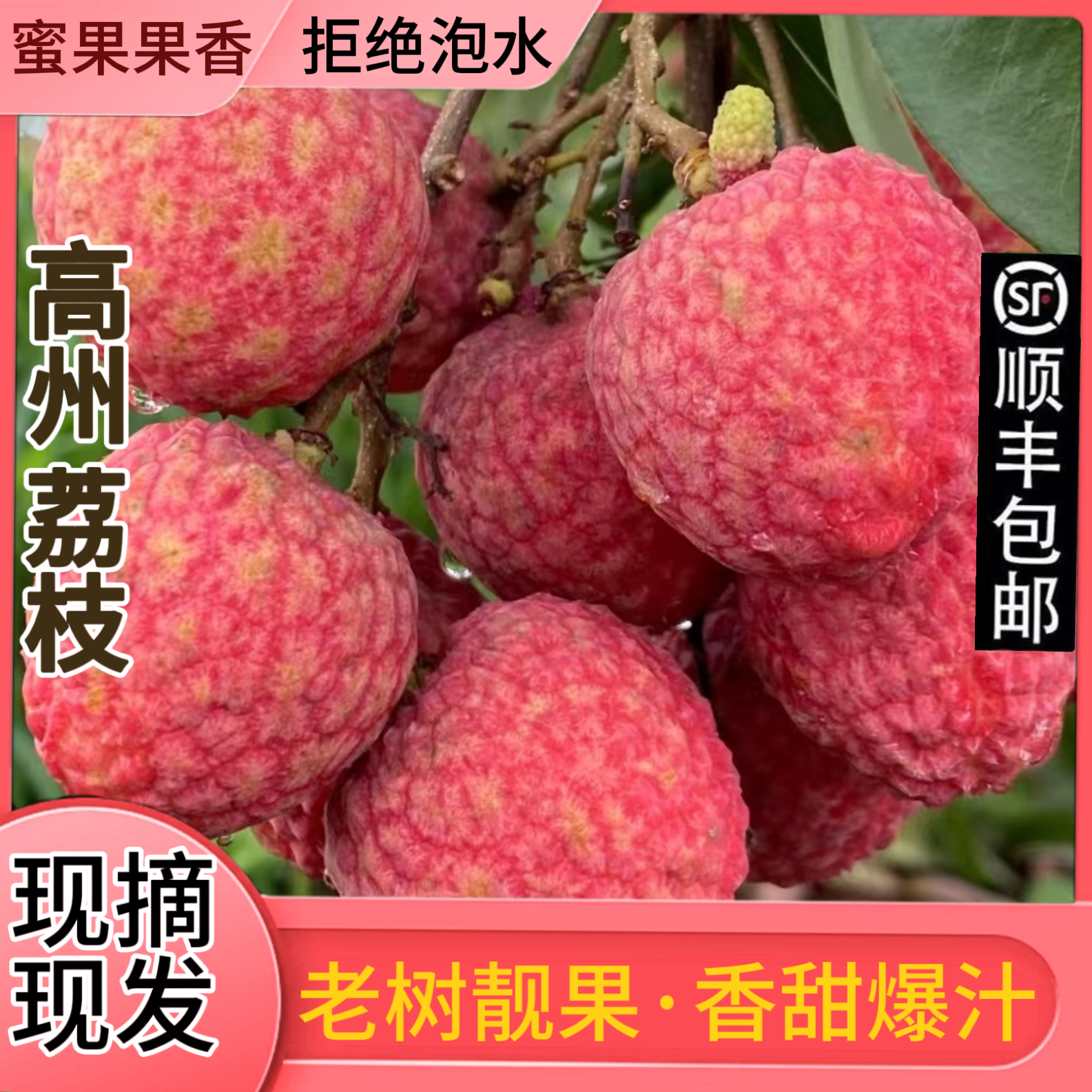 广东茂名高州白糖罂荔枝果园现摘直发新鲜荔枝孕妇水果礼盒批发