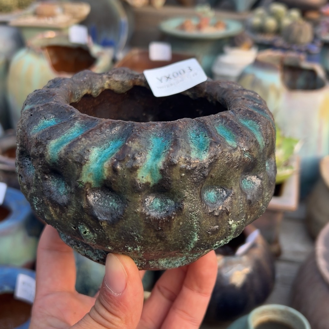 yx003人间草木大钻切盆