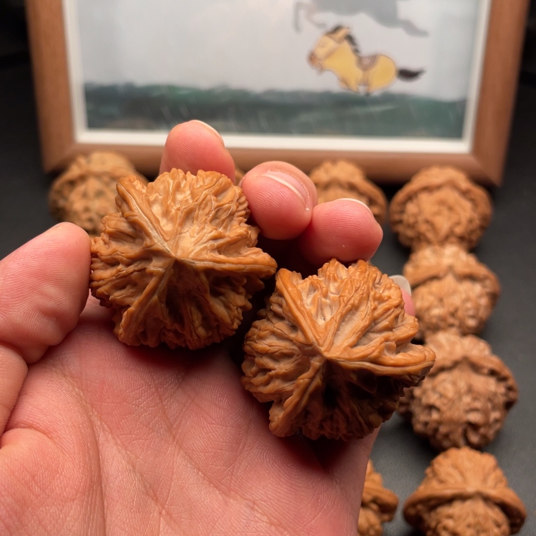 核桃文山三棱全品无修