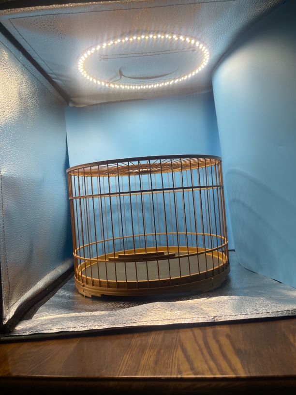 刘建伟打瓦断线靛克鸟笼？56条标准295虾米须鸟笼！笼年龄20年
