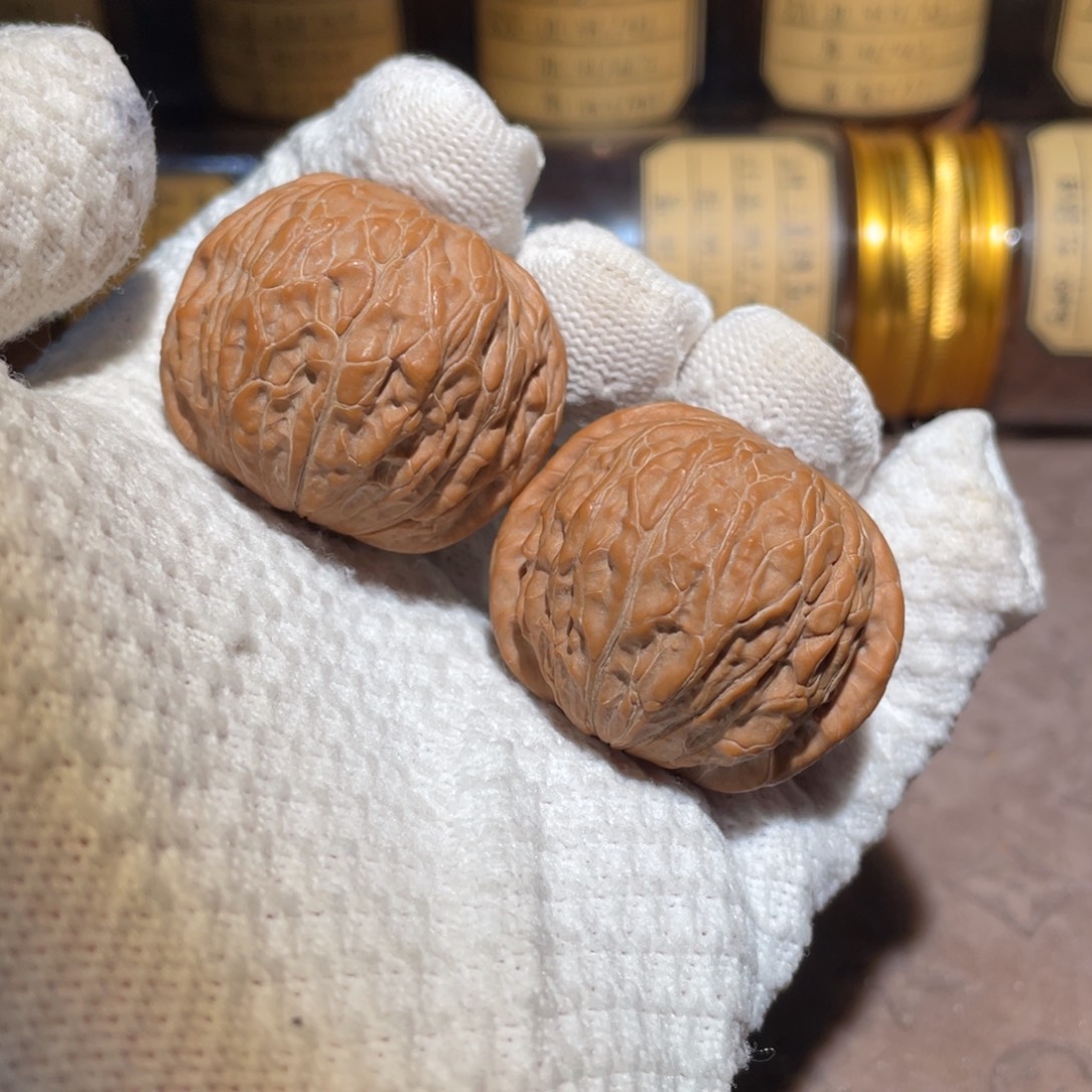 核桃41铁锤cvcccc