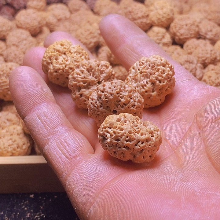 手串金刚菩提天****觉粉丝福利