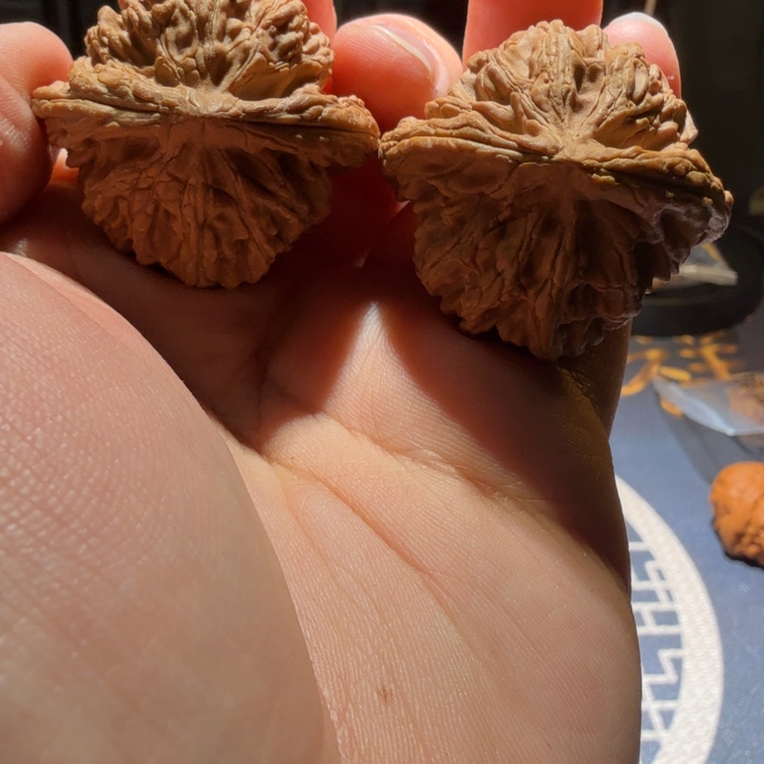 O***o文玩核桃把件玉华宫粗筋王