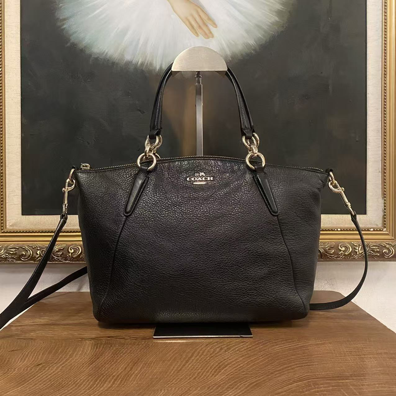 95新  coach单肩包/001575