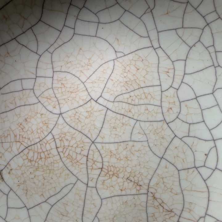 李***晶晶9999999999999999