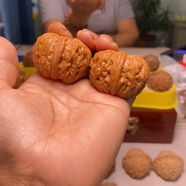 核桃43尺寸的大元宝翘肩