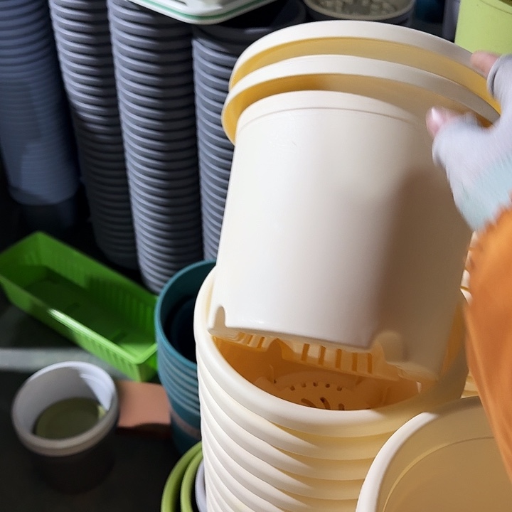 四季3#口径21米黄10个无托