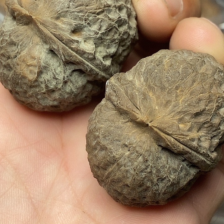 文玩核桃把件志成云铁文玩14